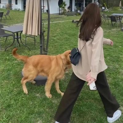 爱在归途